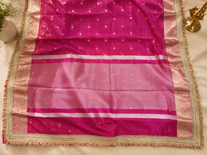 Rani Pink Tissue Organza Banarasi Saree - Pallu and border close-up