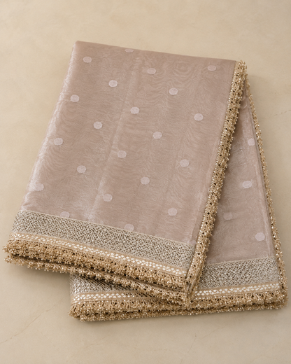 Ivory White Tissue Organza Banarasi Saree with Zari Lace Border | Shreevaa